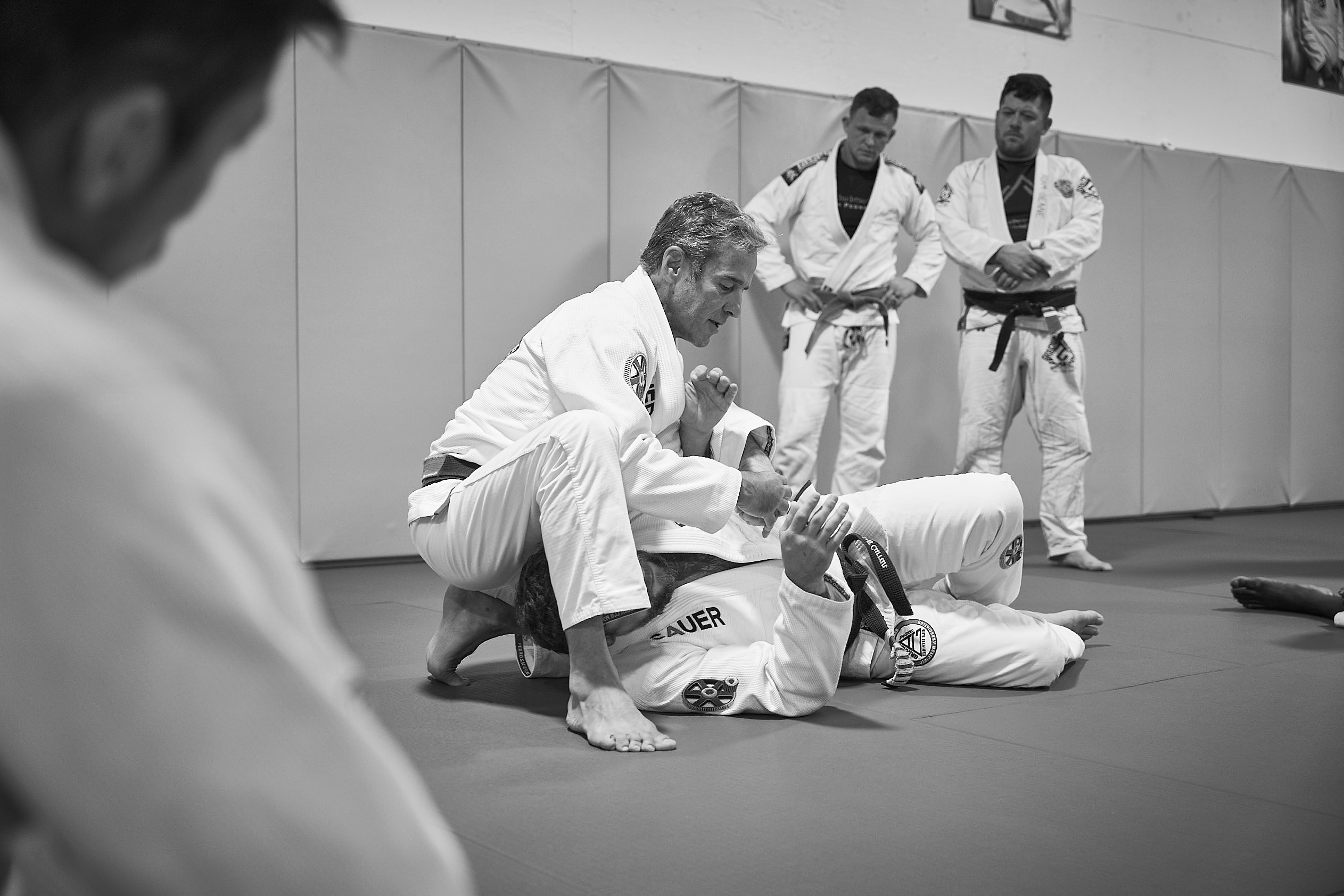 pedro armbar