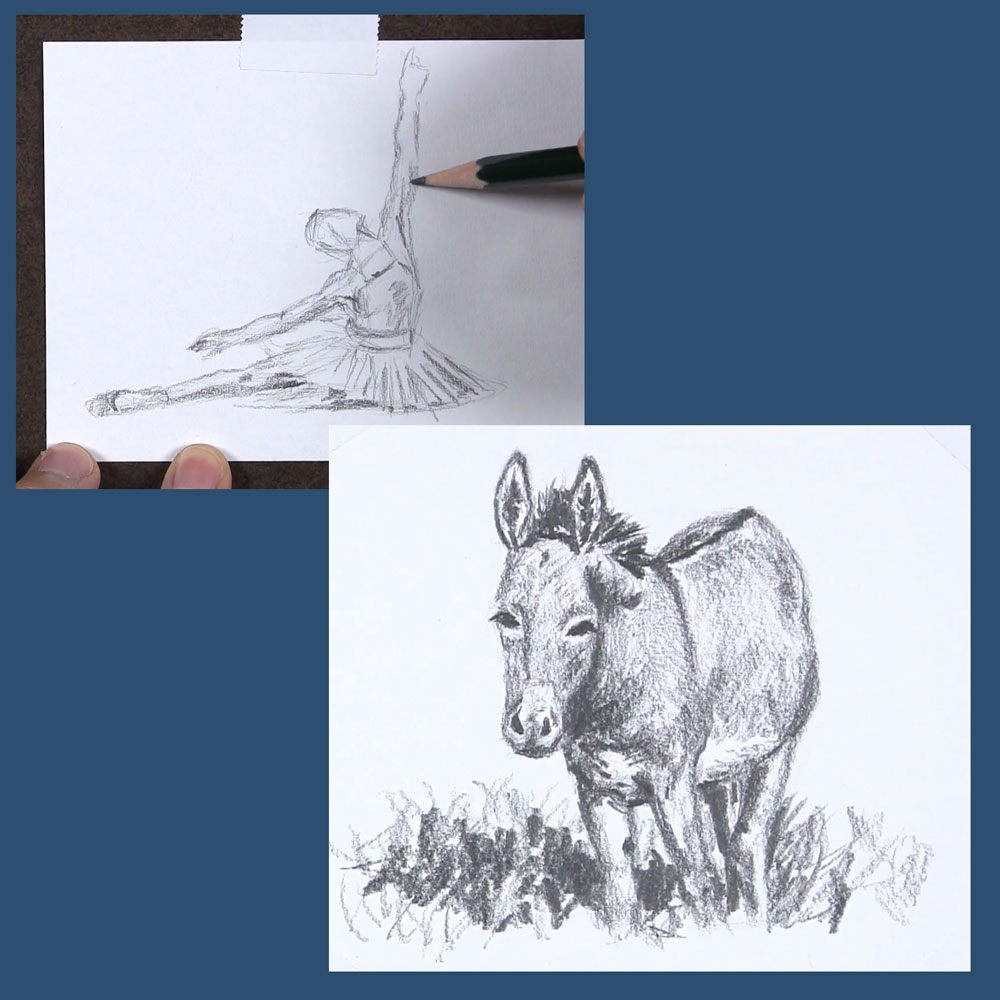 sketches of ballerina and donkey