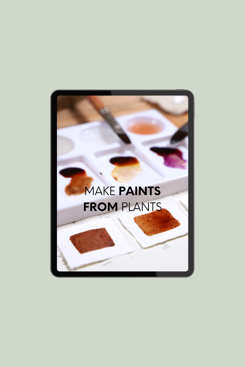 Make paints from plants