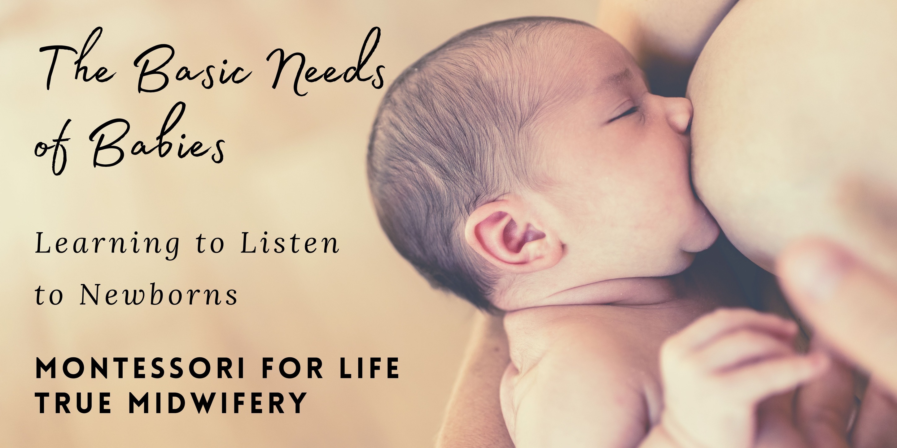 THE BASIC NEEDS OF BABIES COURSE & WORKSHOP