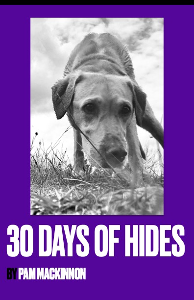 cover of 30 days of hides book