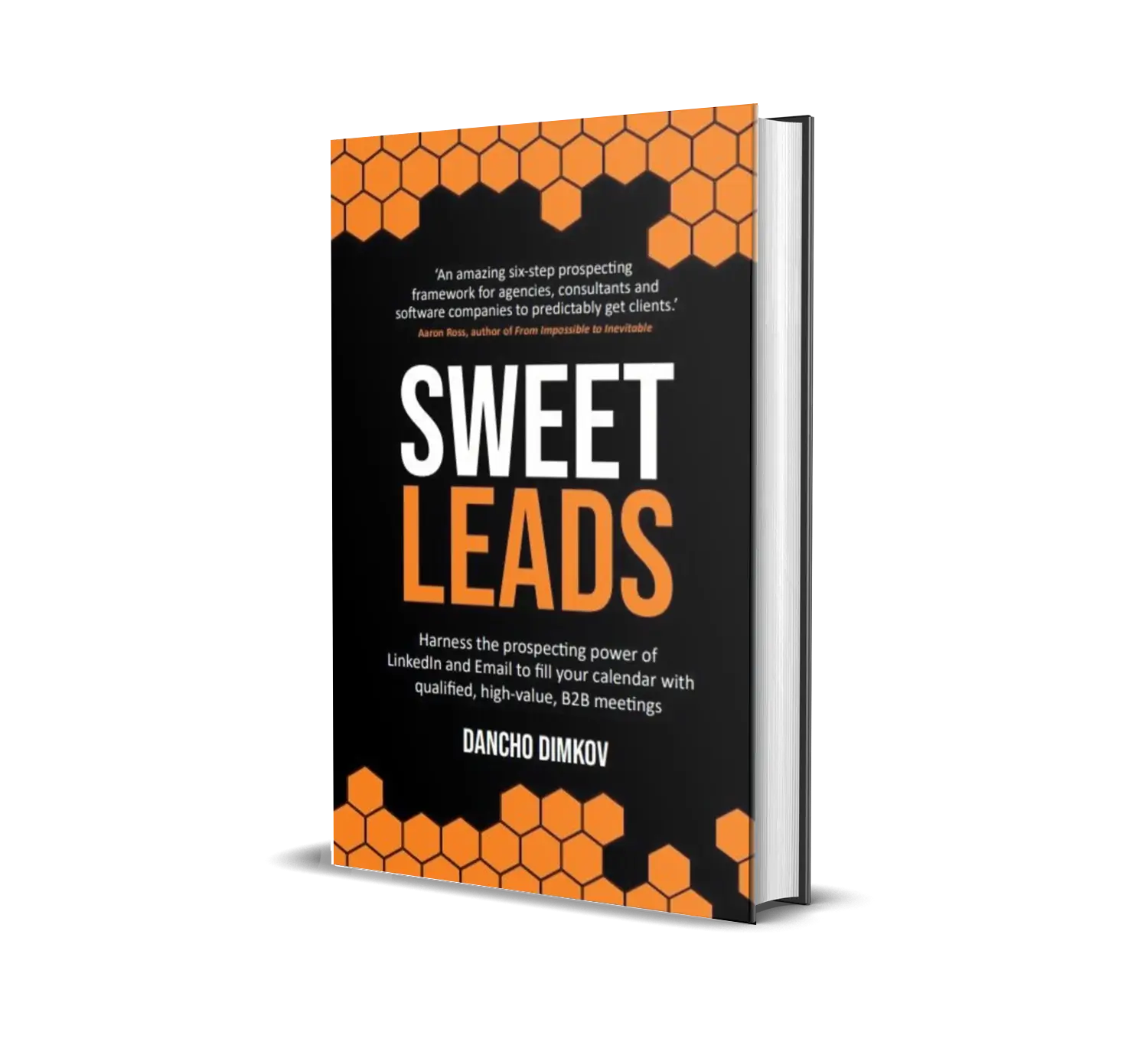 Amazon Best Seller Book - &quot;Sweet Leads&quot;