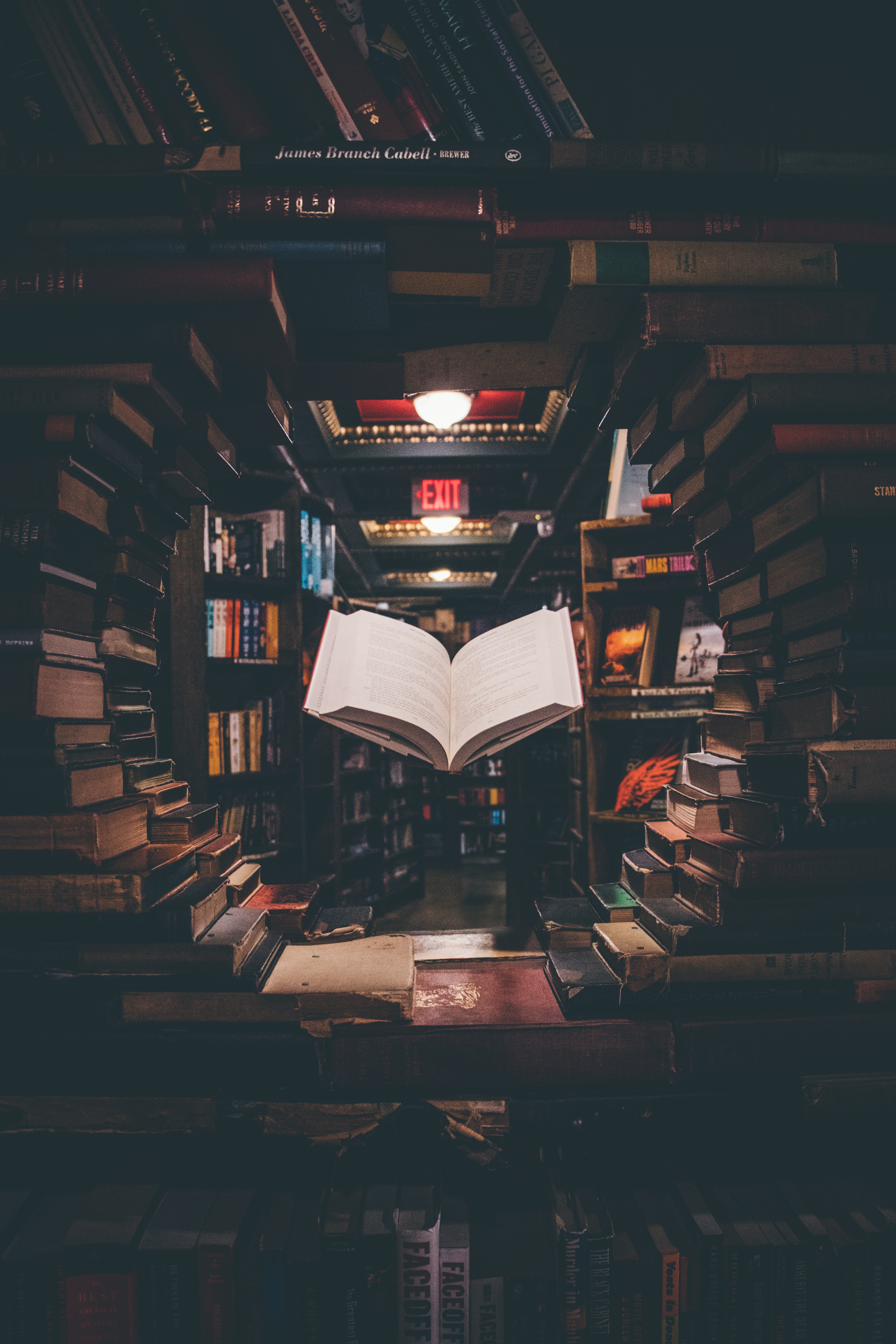 An open-faced book hovers magically above stacks of old texts in a cozy little shop.