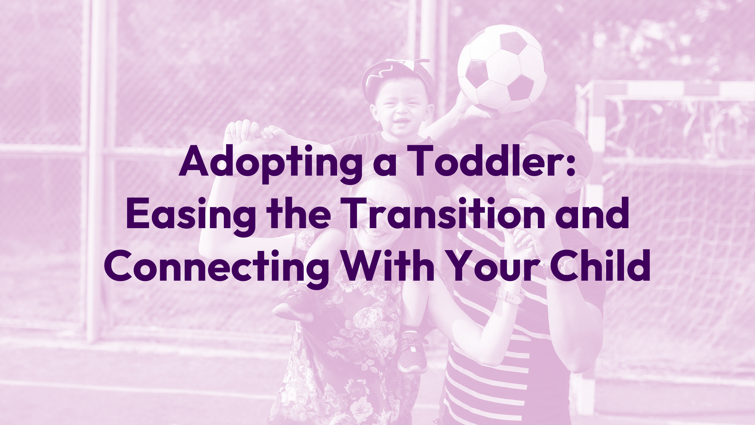 Adopting a Toddler Webinar