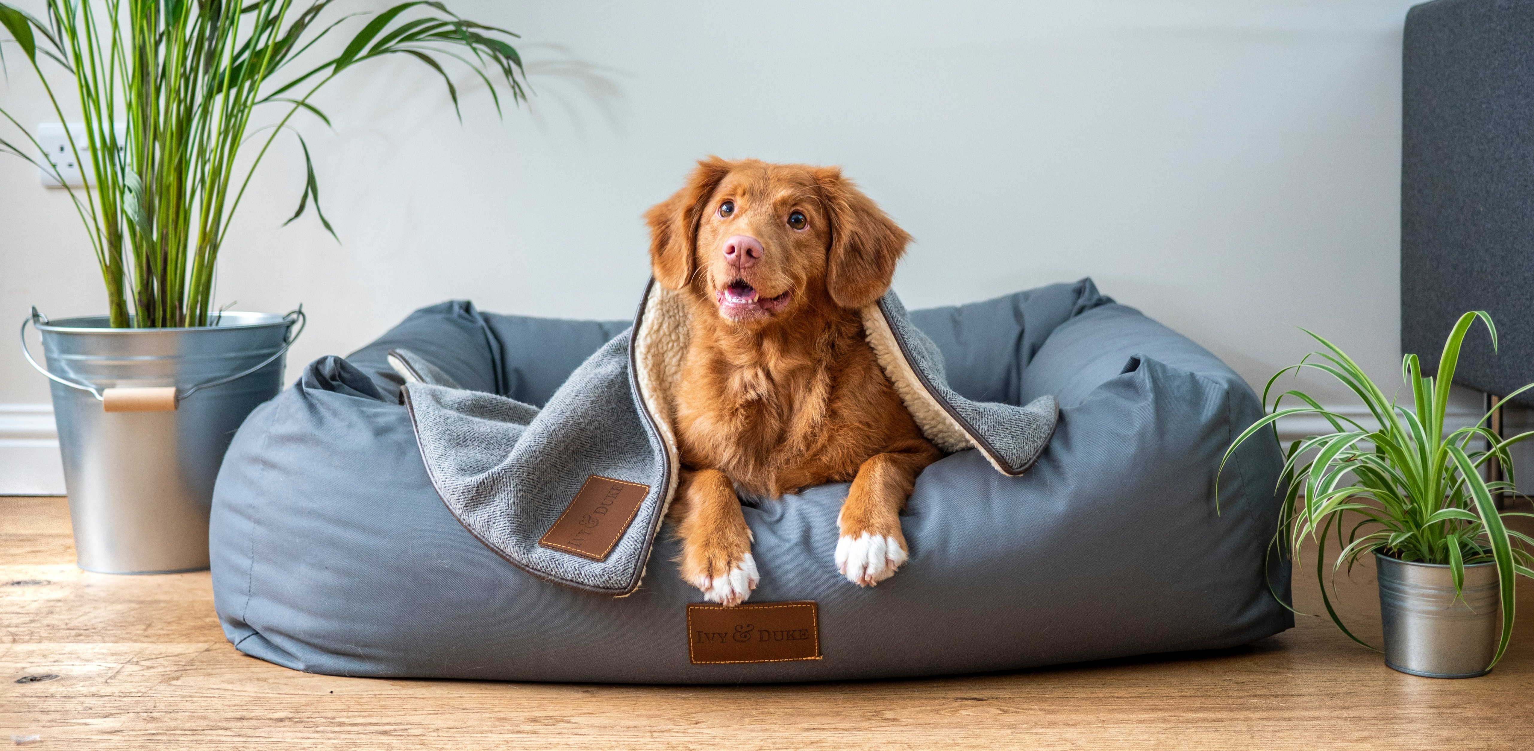 From start to finish, this course has over 40 videos, and takes six weeks to complete. As each week’s videos are unlocked, we suggest you watch them and practice the new skills to solidify the training for you and your puppy.