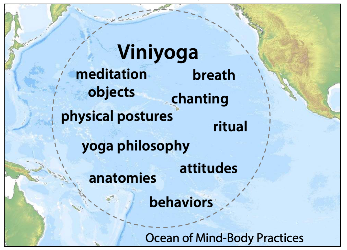 elements of viniyoga
