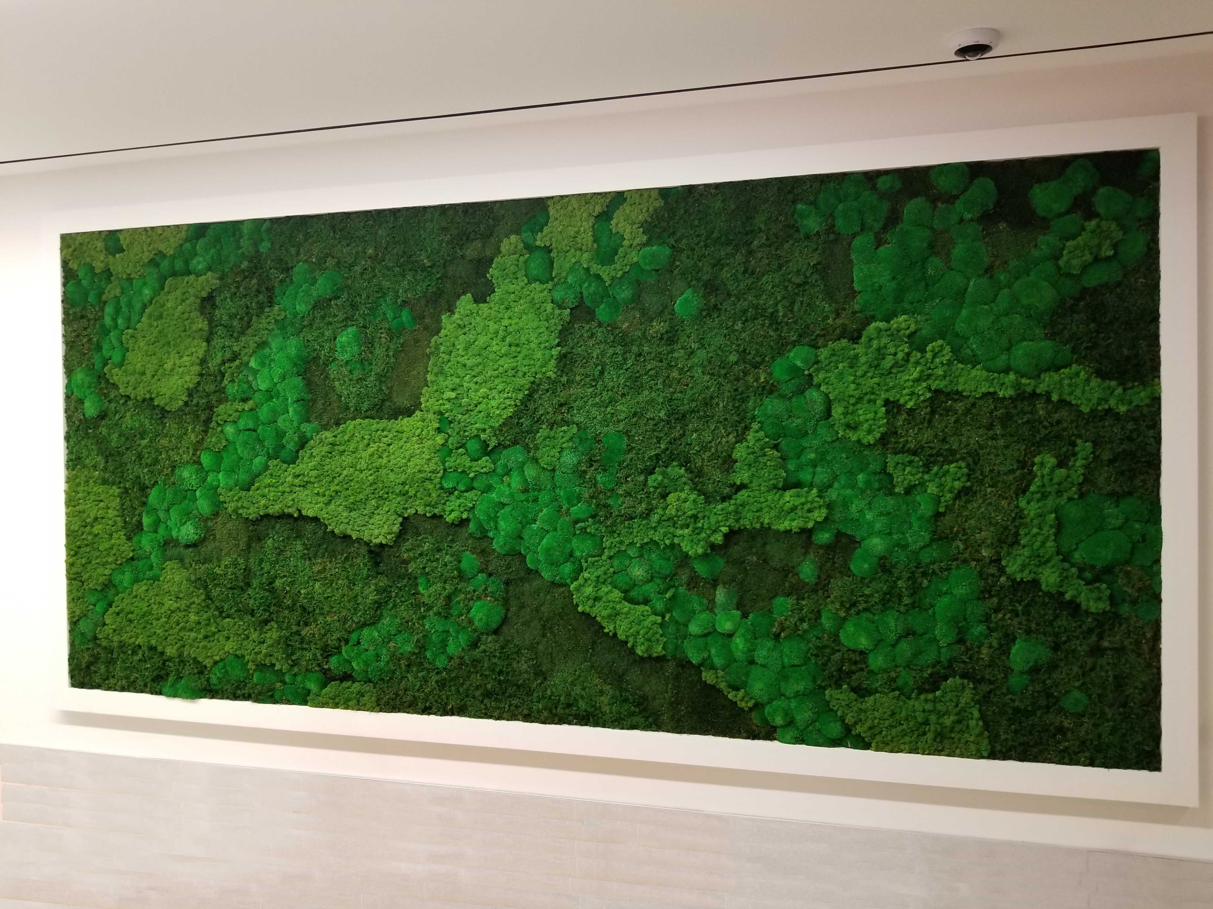 Moss Walls