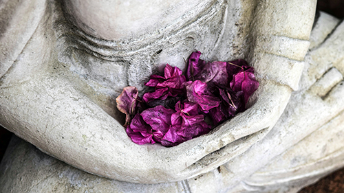 A Buddhist statue cradling flower petals