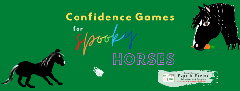 CONFIDENCE GAMES FOR SPOOKY HORSES