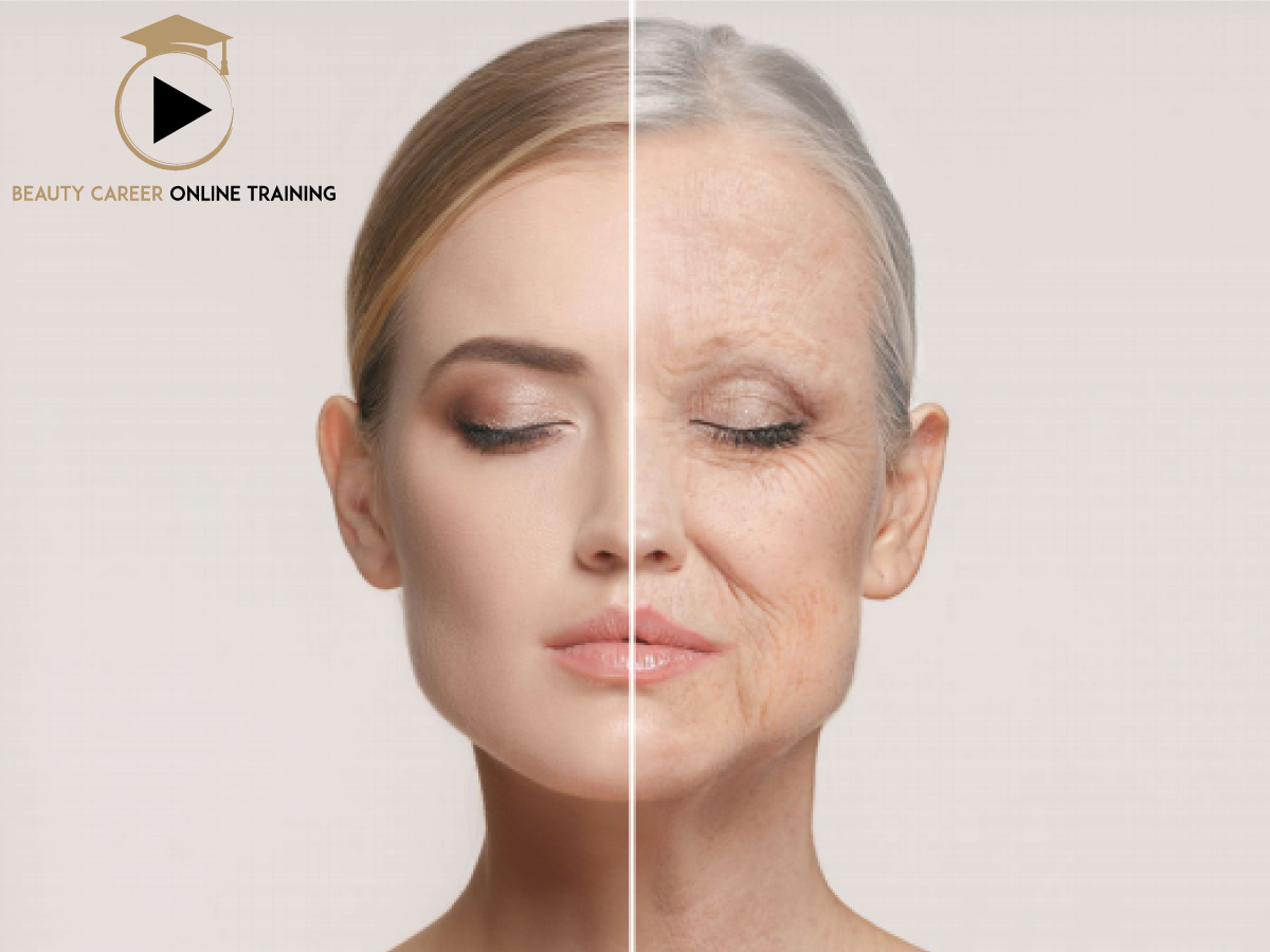 The Secrets to Stop Wrinkles & Saggy Skin, wrinkles, saggy skin, droopy skin, aging, fine lines, deep lines, collagen, anit-aging, face wrinkles, body skin