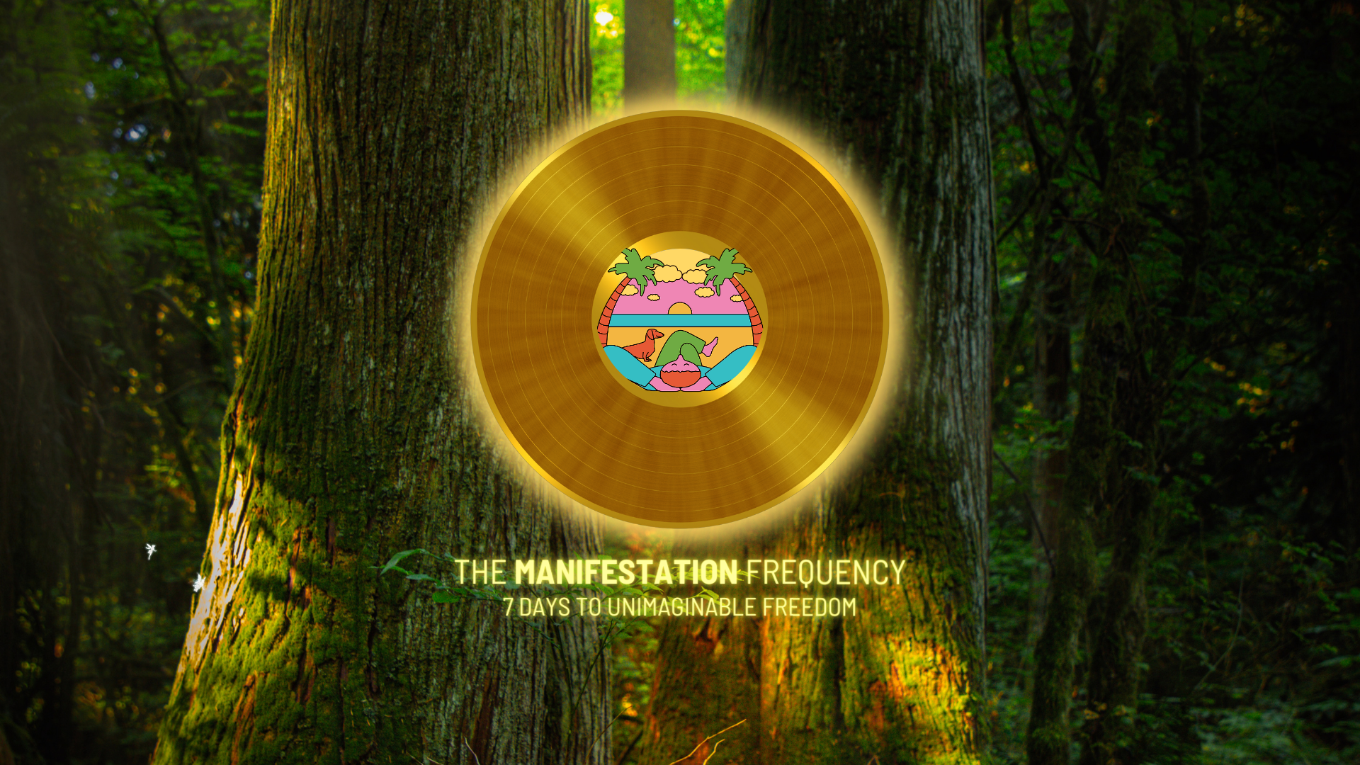 The Manifestation Frequency