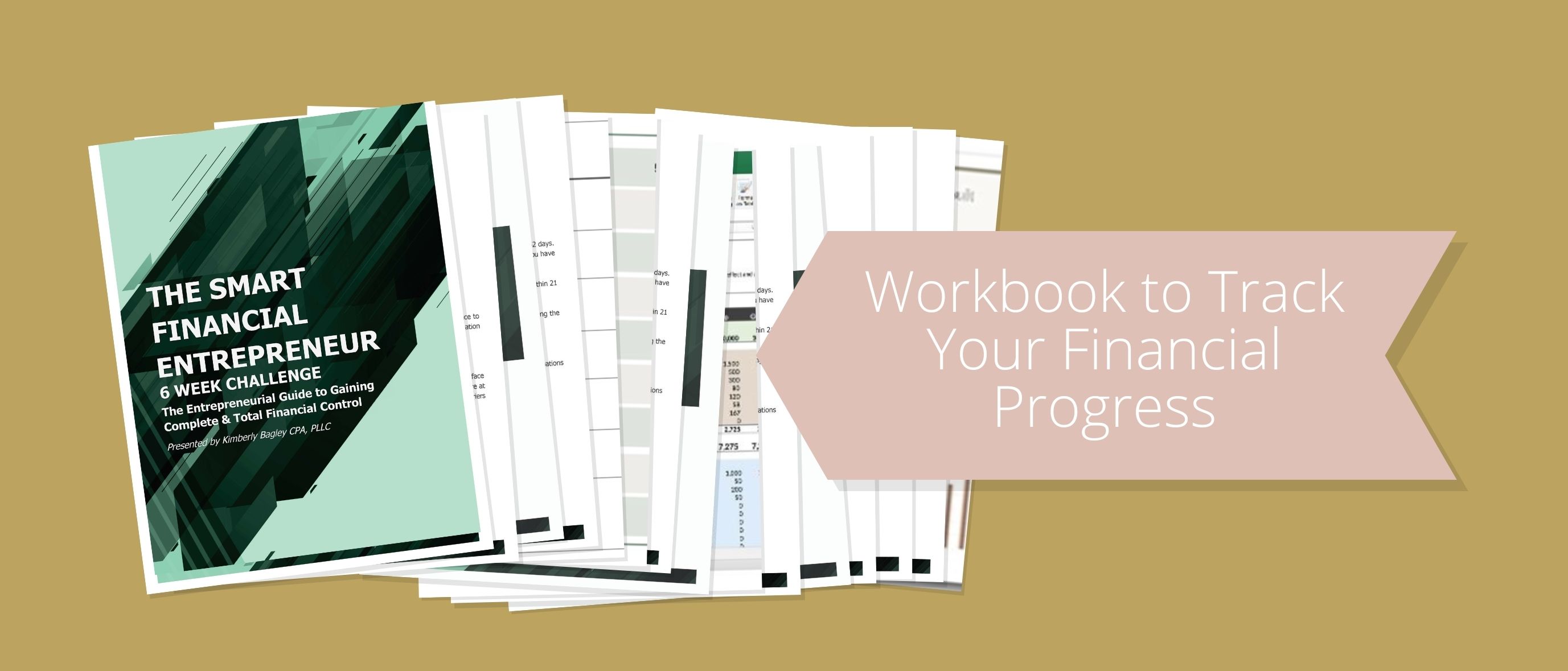 Smart Financial Entrepreneur workbook