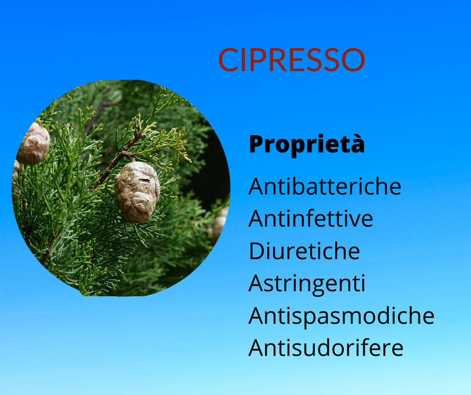 olio essenziale massaggio cipresso