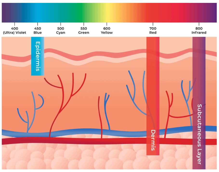 Light Therapy Resource