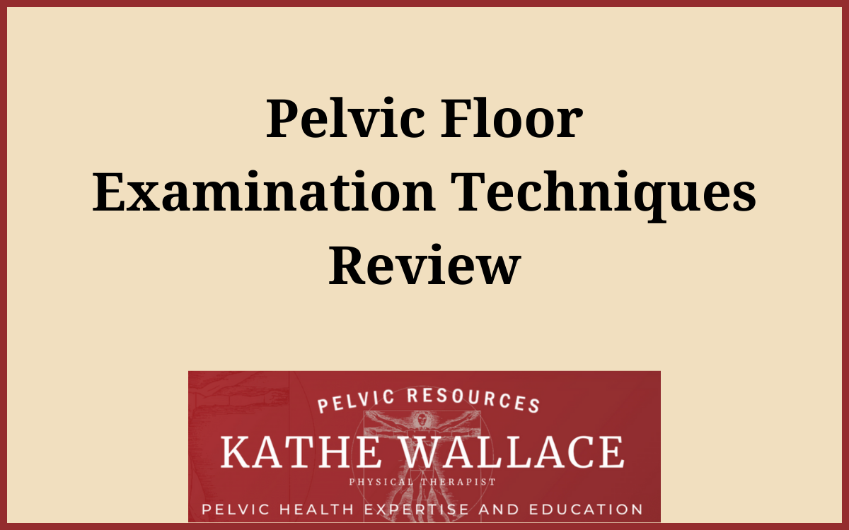 title image for Pelvic Floor Examination Techniques Review