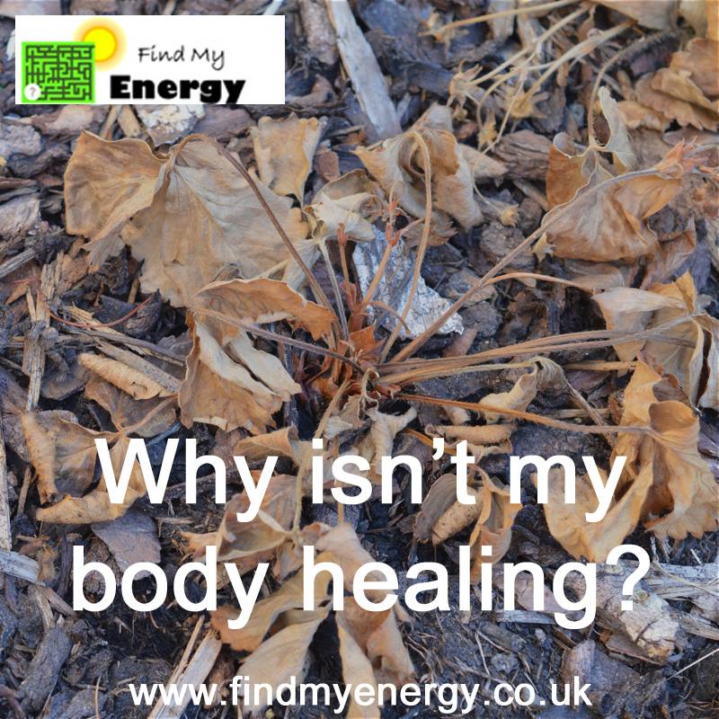 Image of of the blog title exploring why your body isn't healing