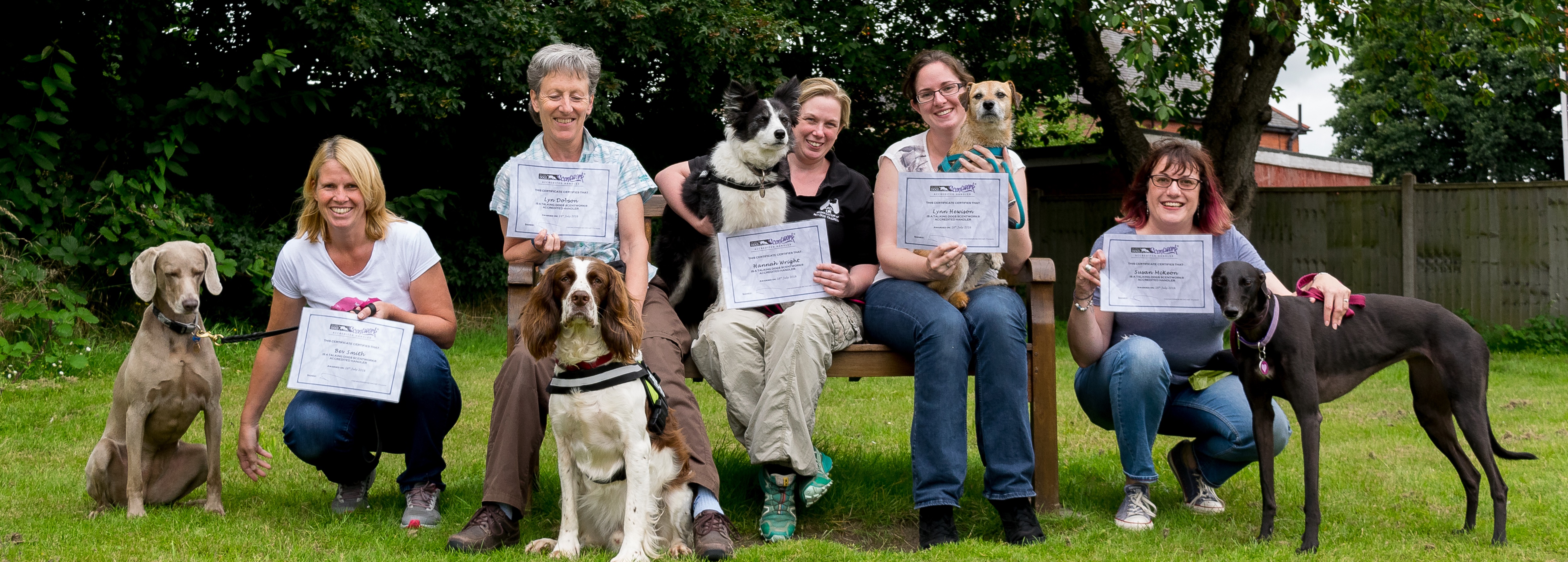 happy scentwork trainers and dogs