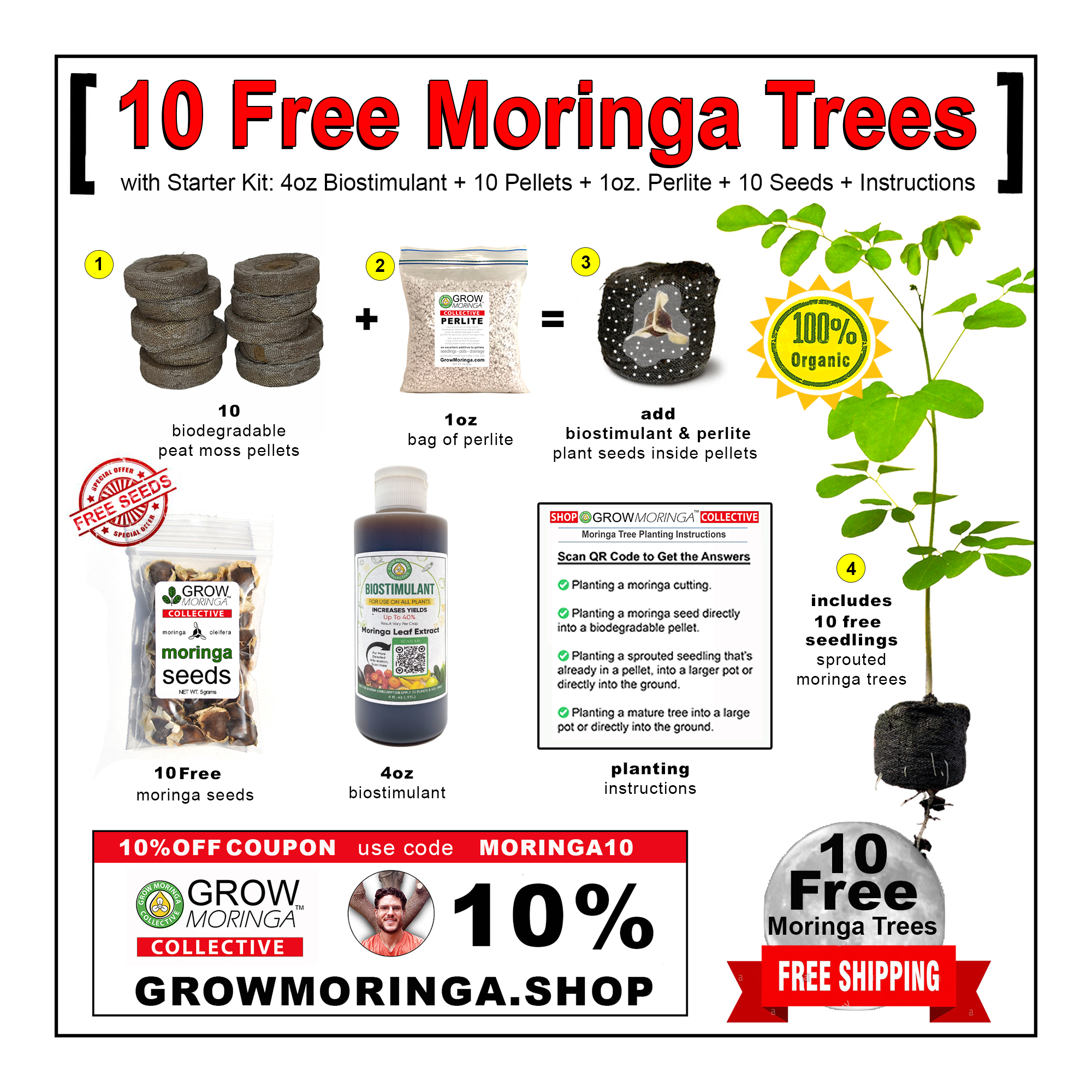10-free-moringa-trees-starter-kit