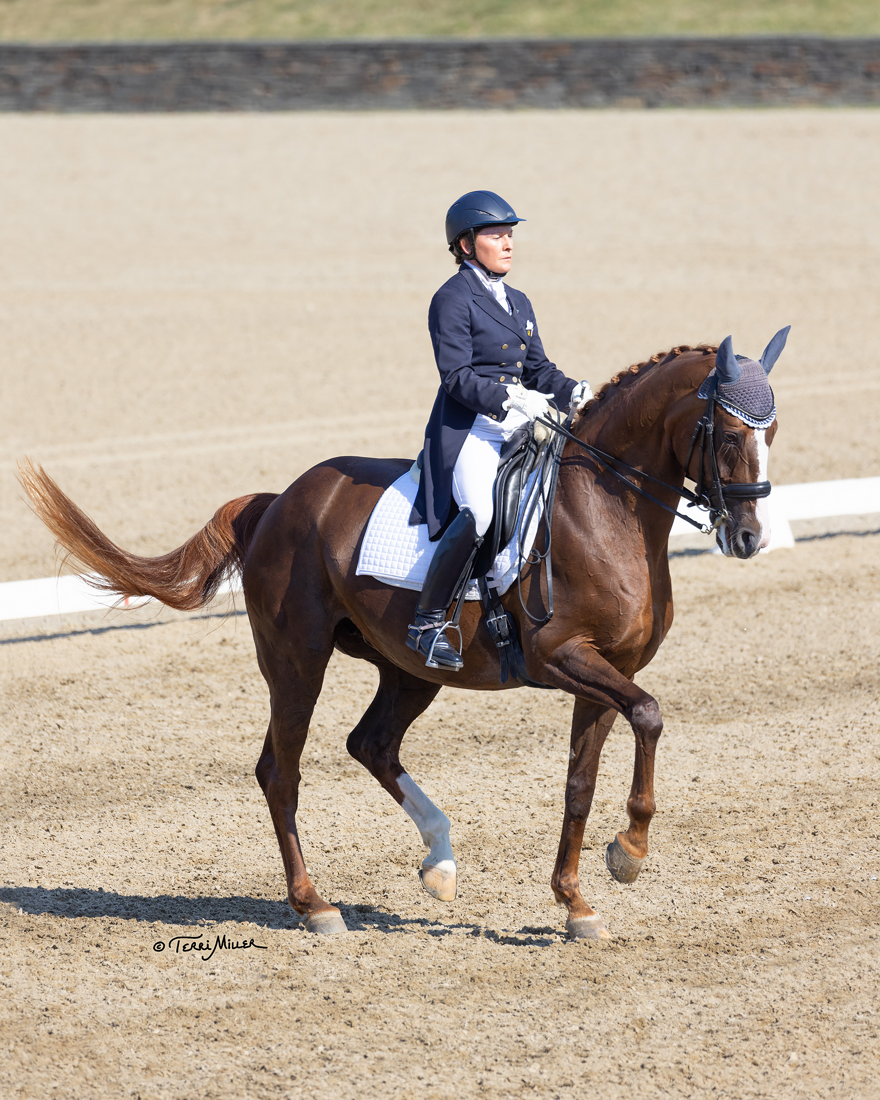 Carousel Coaching - Nancy Lavoie 