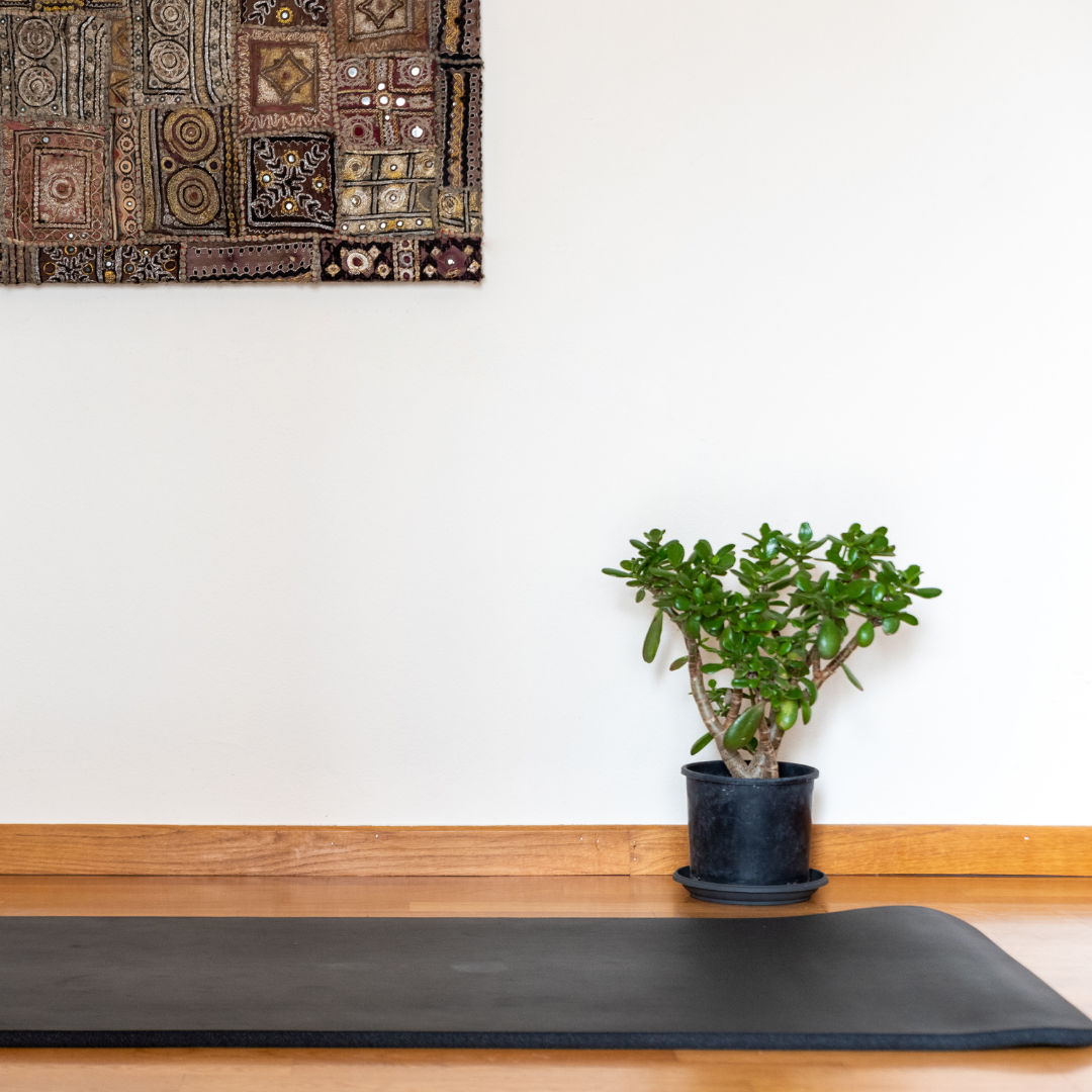 Online Yin Yoga Teacher Training