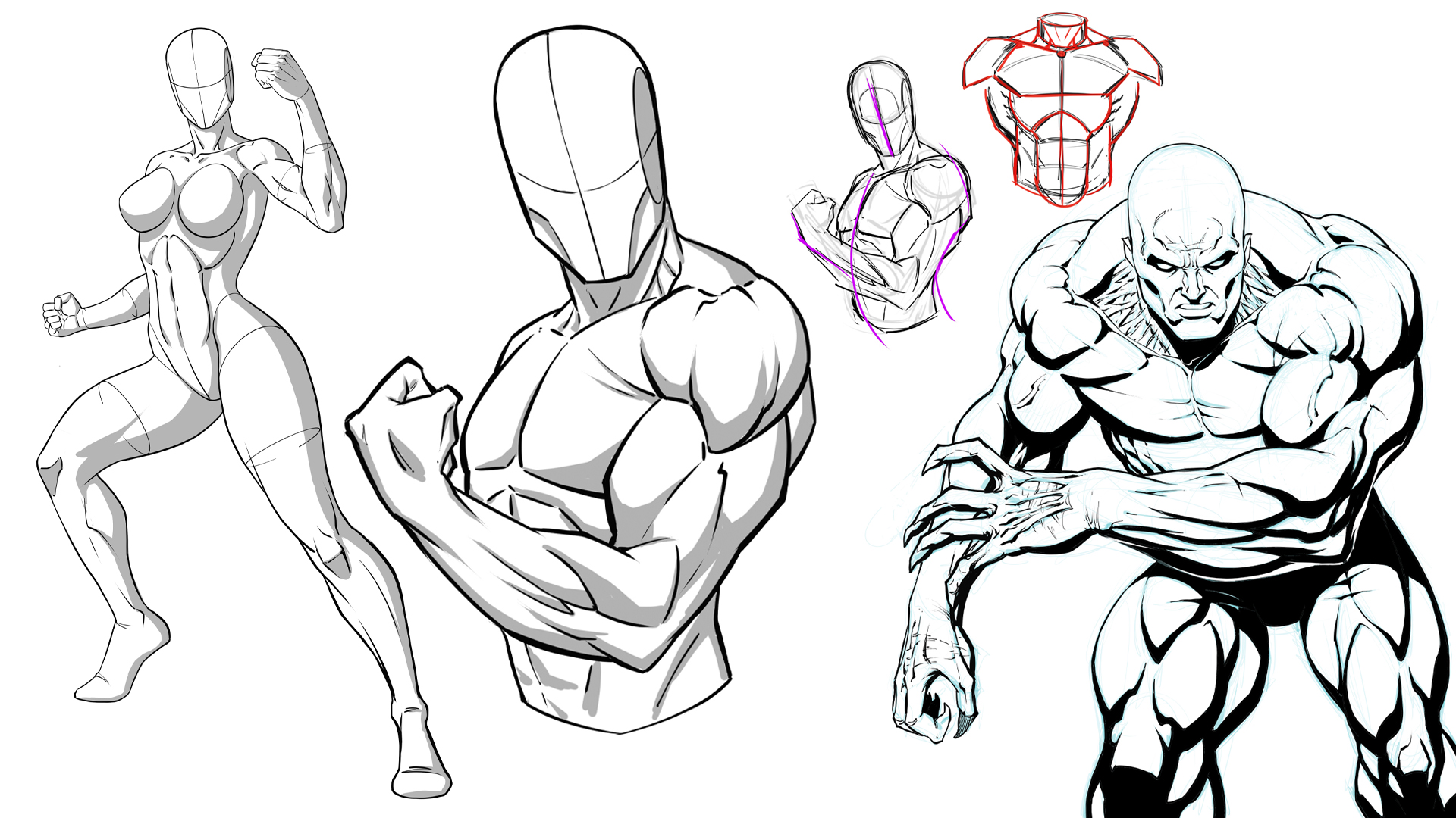 How to draw Female Anatomy Pose