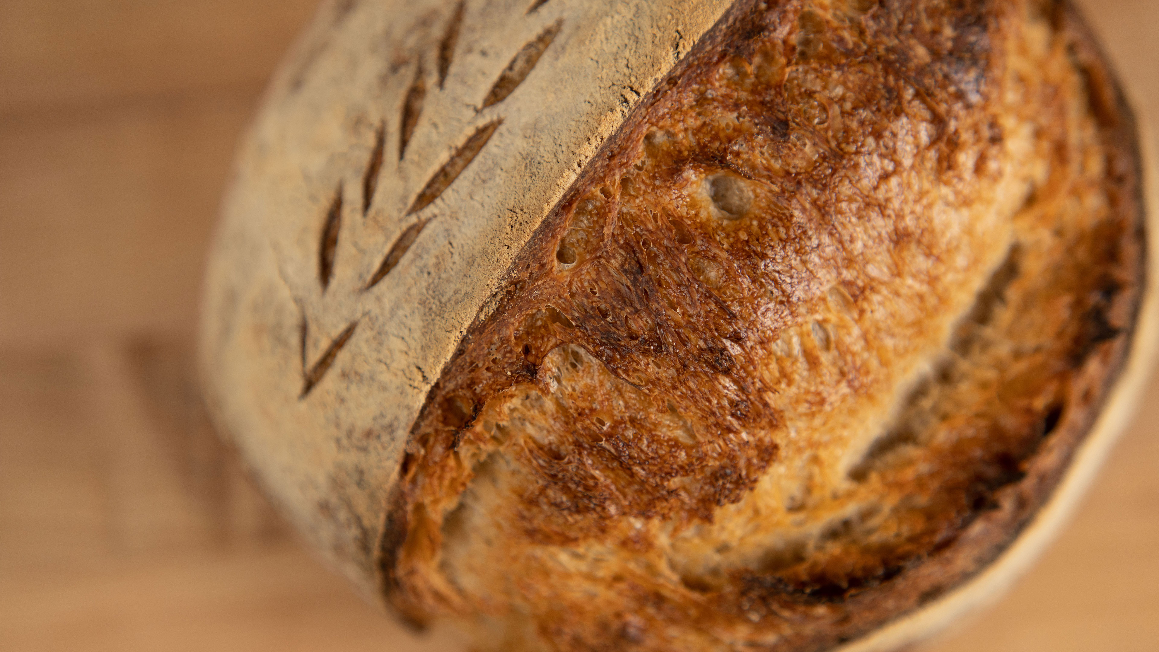 Learn to make sourdough bread – online baking class