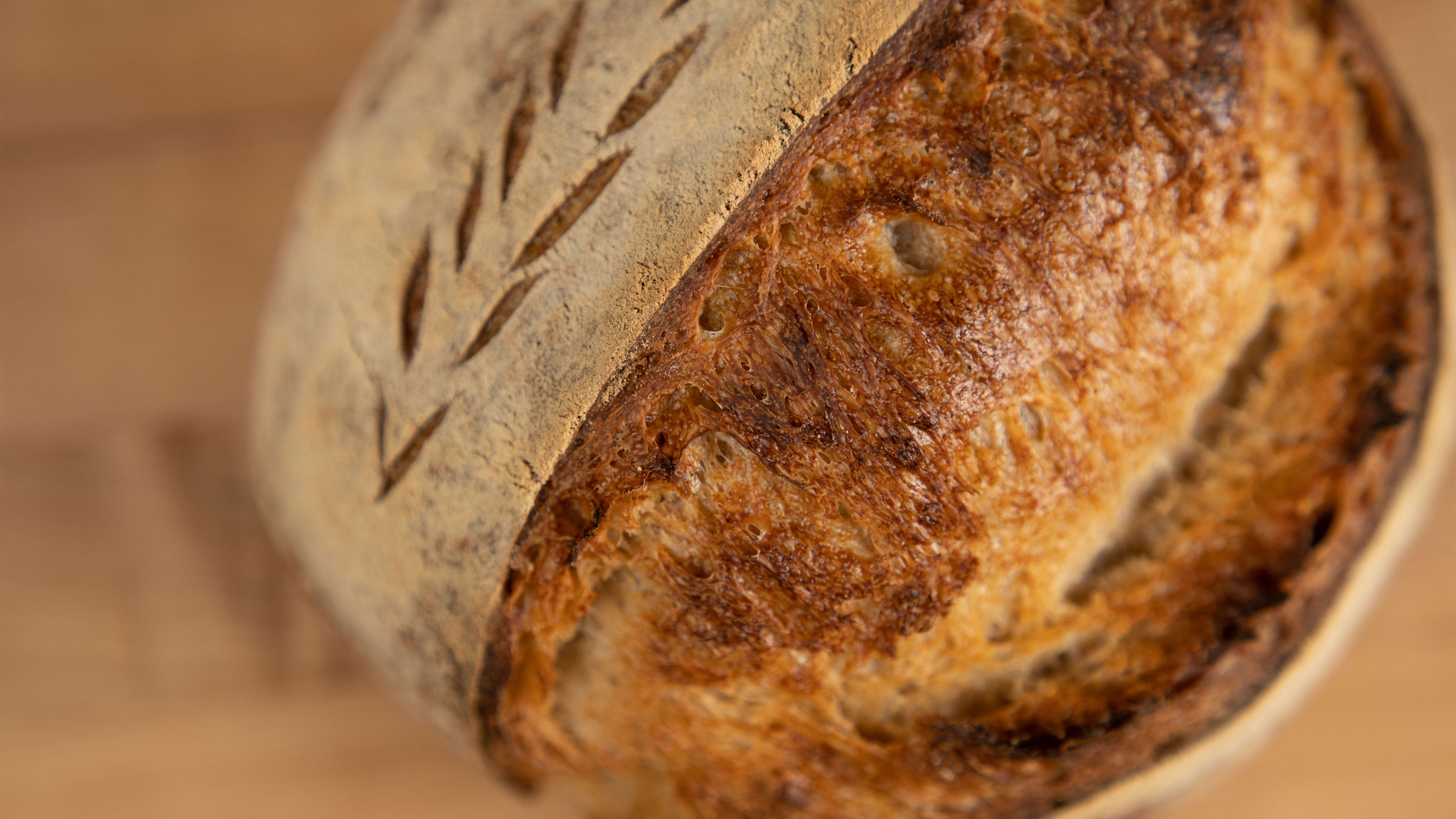 Sourdough Bread 101: Learn the Essentials for Making Sourdough