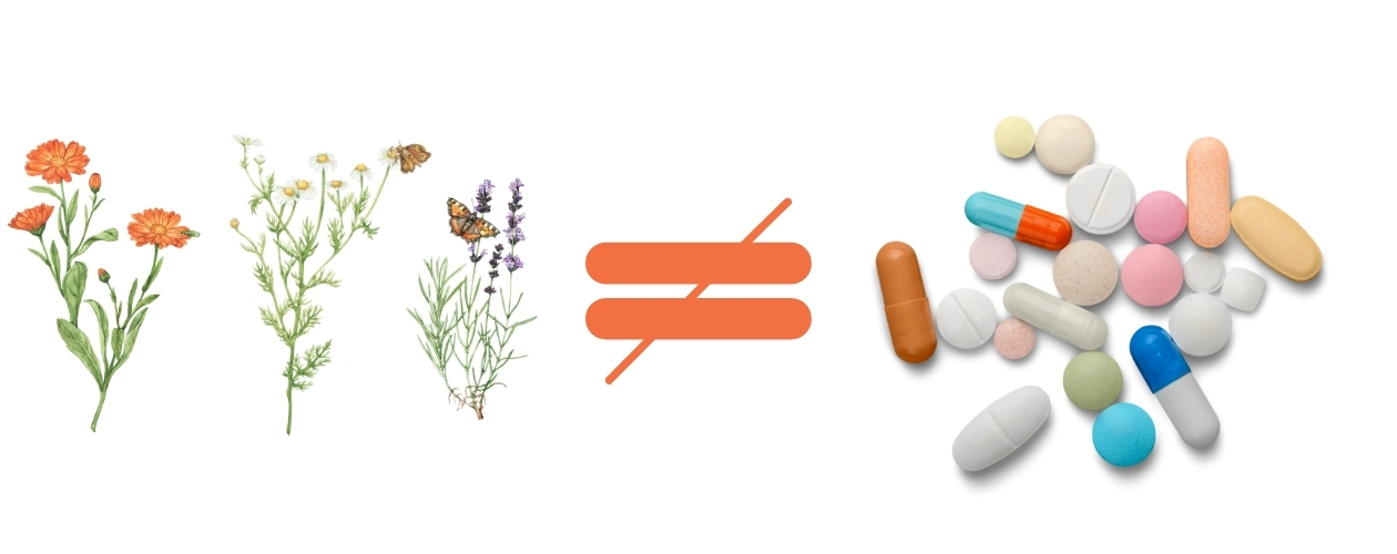 Illustrations of plants including calendula, chamomile, and lavender followed by a does not equal symbol and pharmaceutical pills