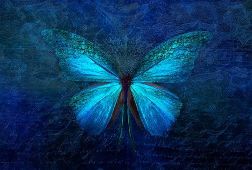 Picture: Blue butterflyText: Dream like dreamers do...and soul dance