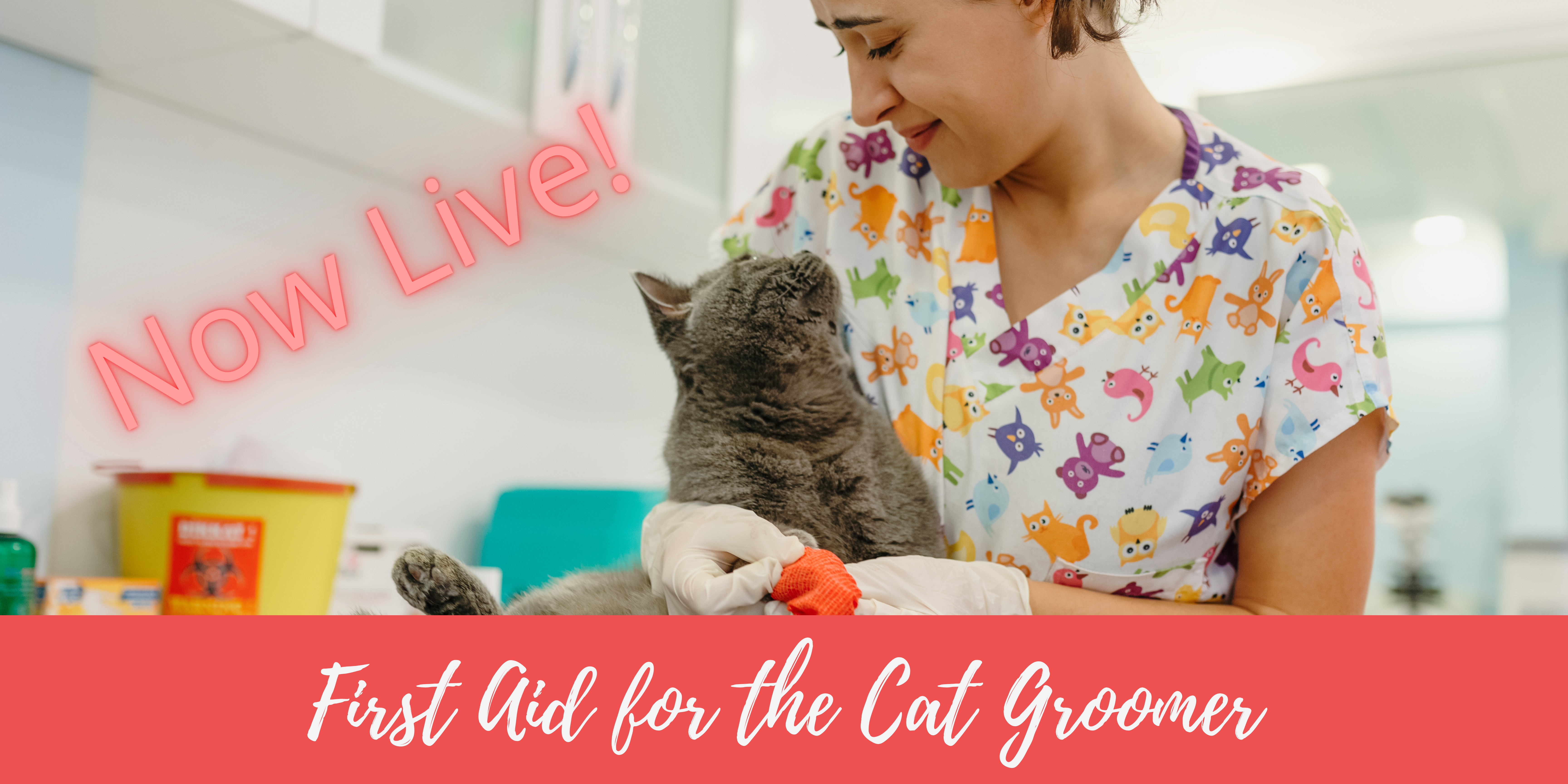 First Aid for the Cat Groomer