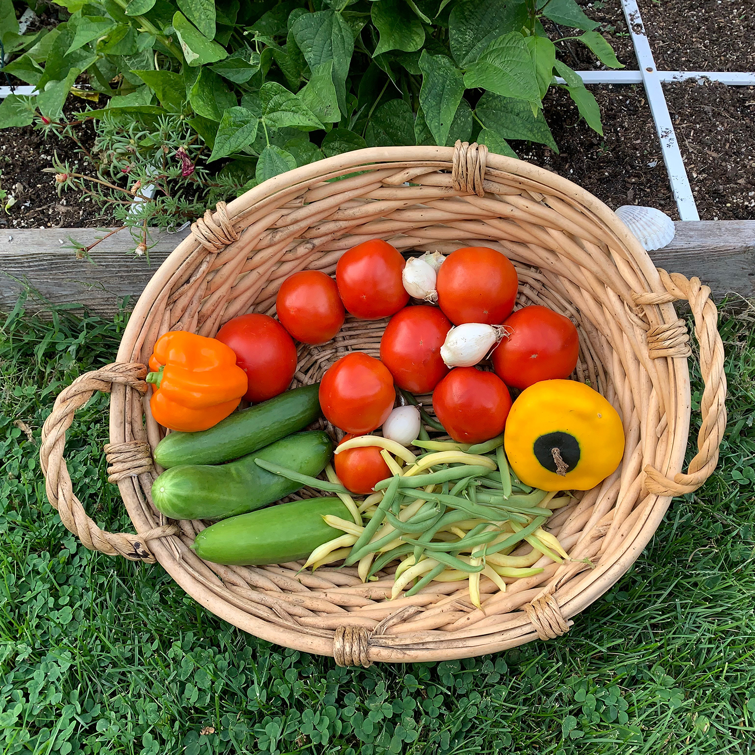 square foot garden vegetables