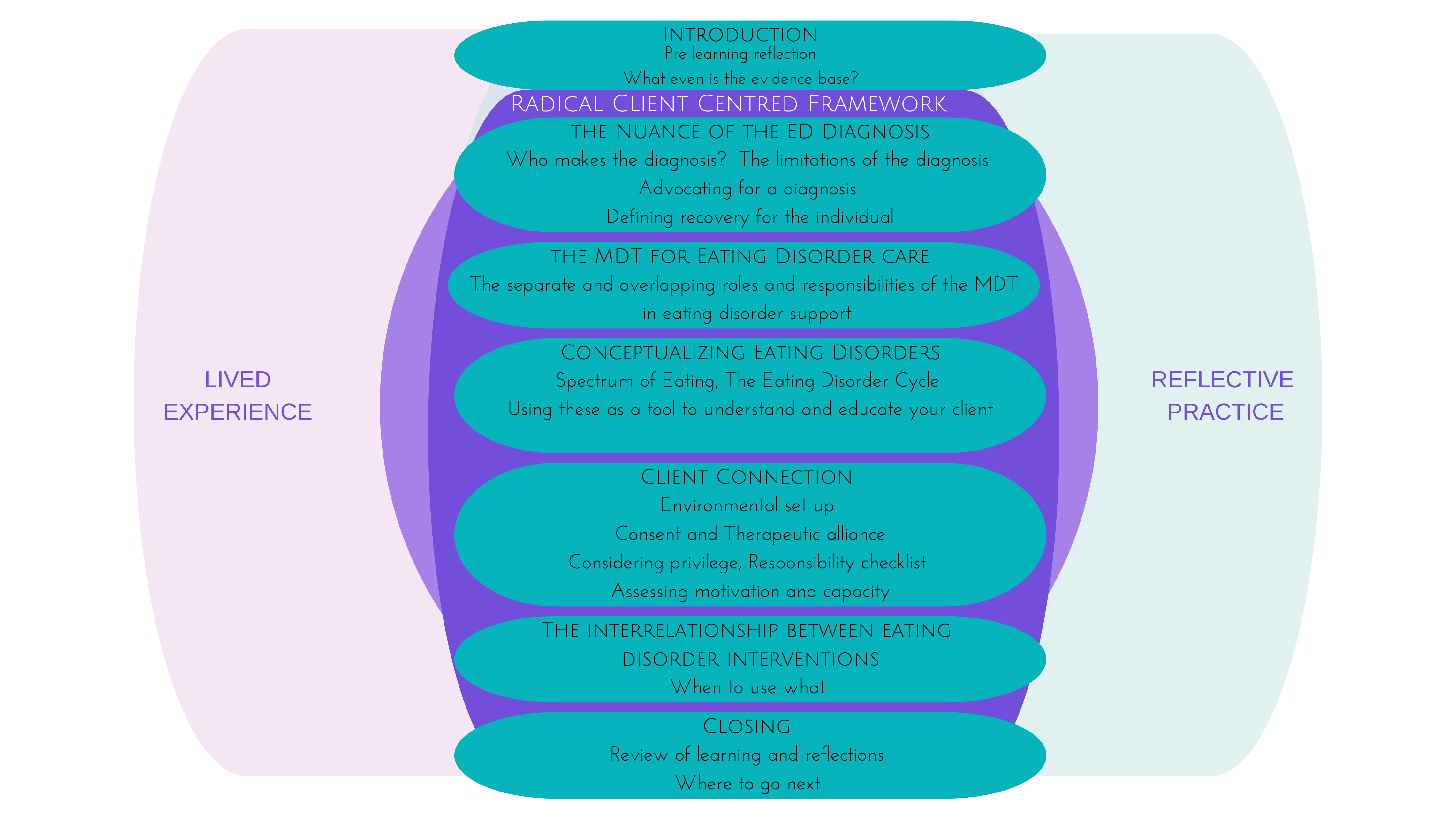 Infographic depicting the course content 