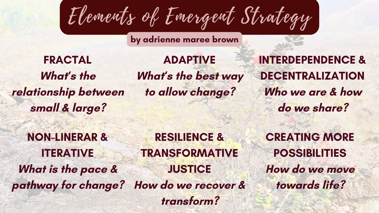 Elements of Emergent Strategy -  Fractal: the relationship between small and large.  Intentional adaptation: how we change.  Interdependence and decentralization: who we are and how we share.  Nonlinear and iterative: the pace and pathways of change.  Resilience and Transformative Justice: how we recover and transform.  Creating more possibilities: how we move towards life.