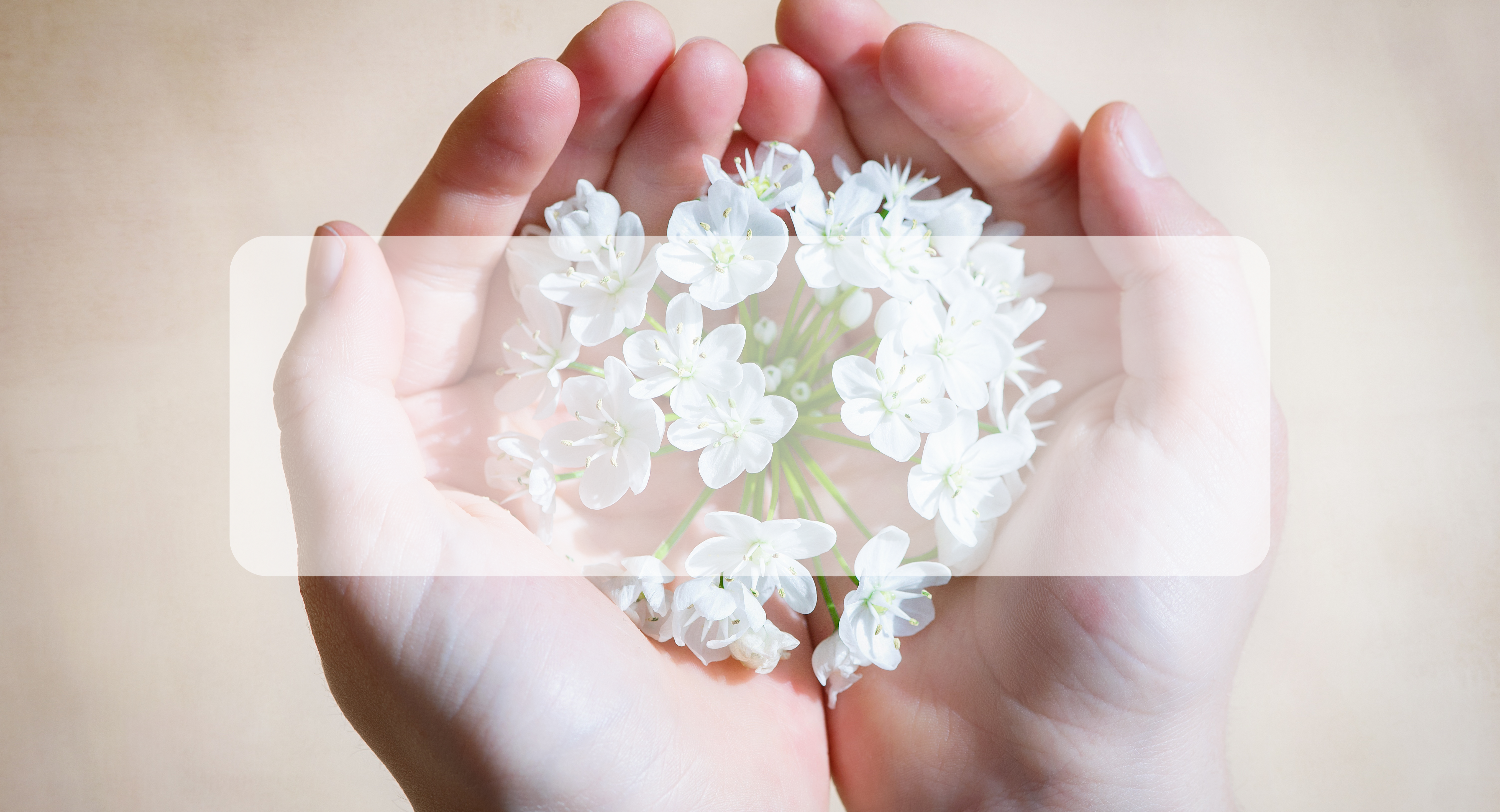 hands holding flowers