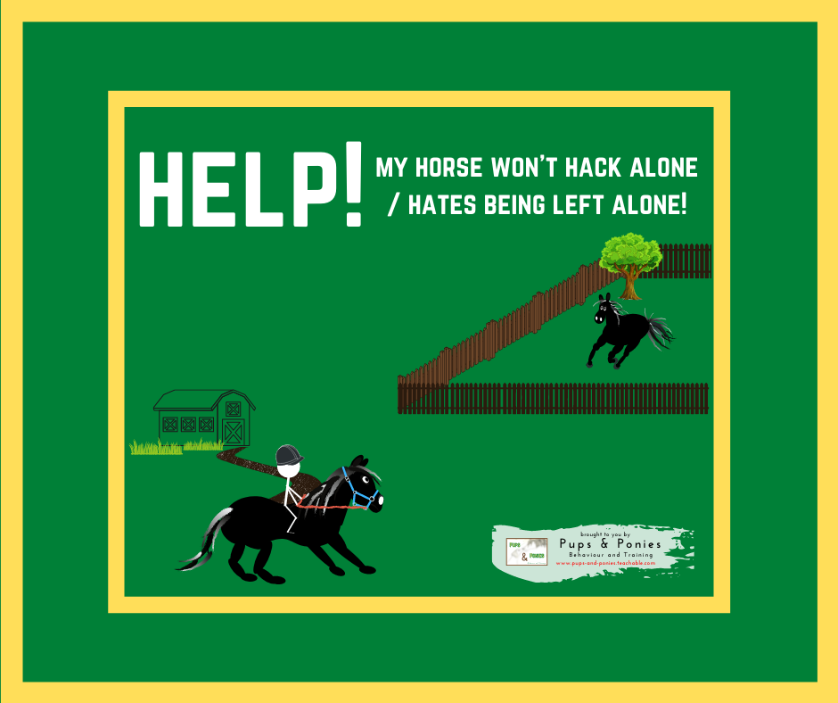 HELP! MY HORSE WON'T HACK ALONE / HATES BEING LEFT ALONE!