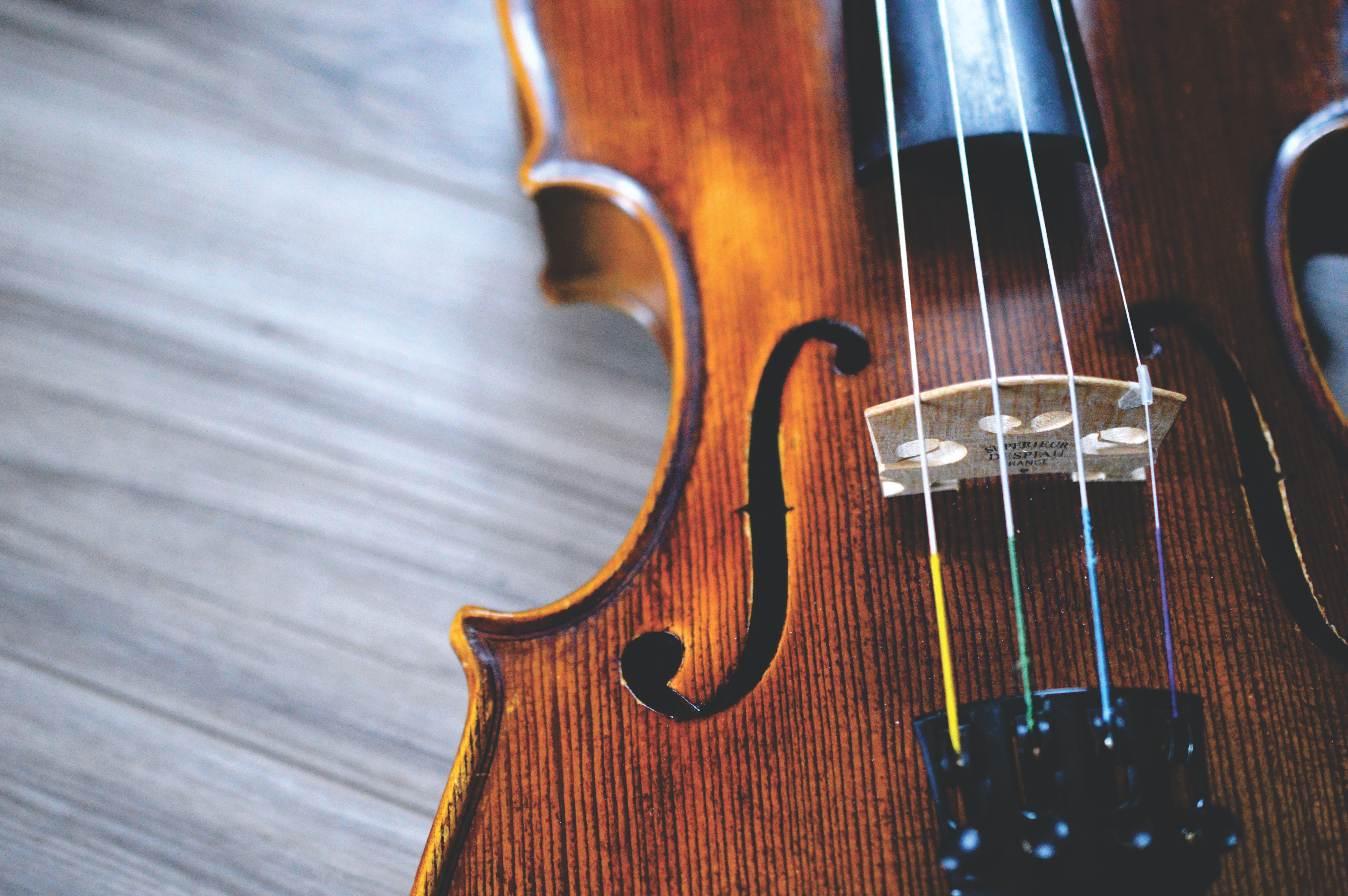 close up of a violin