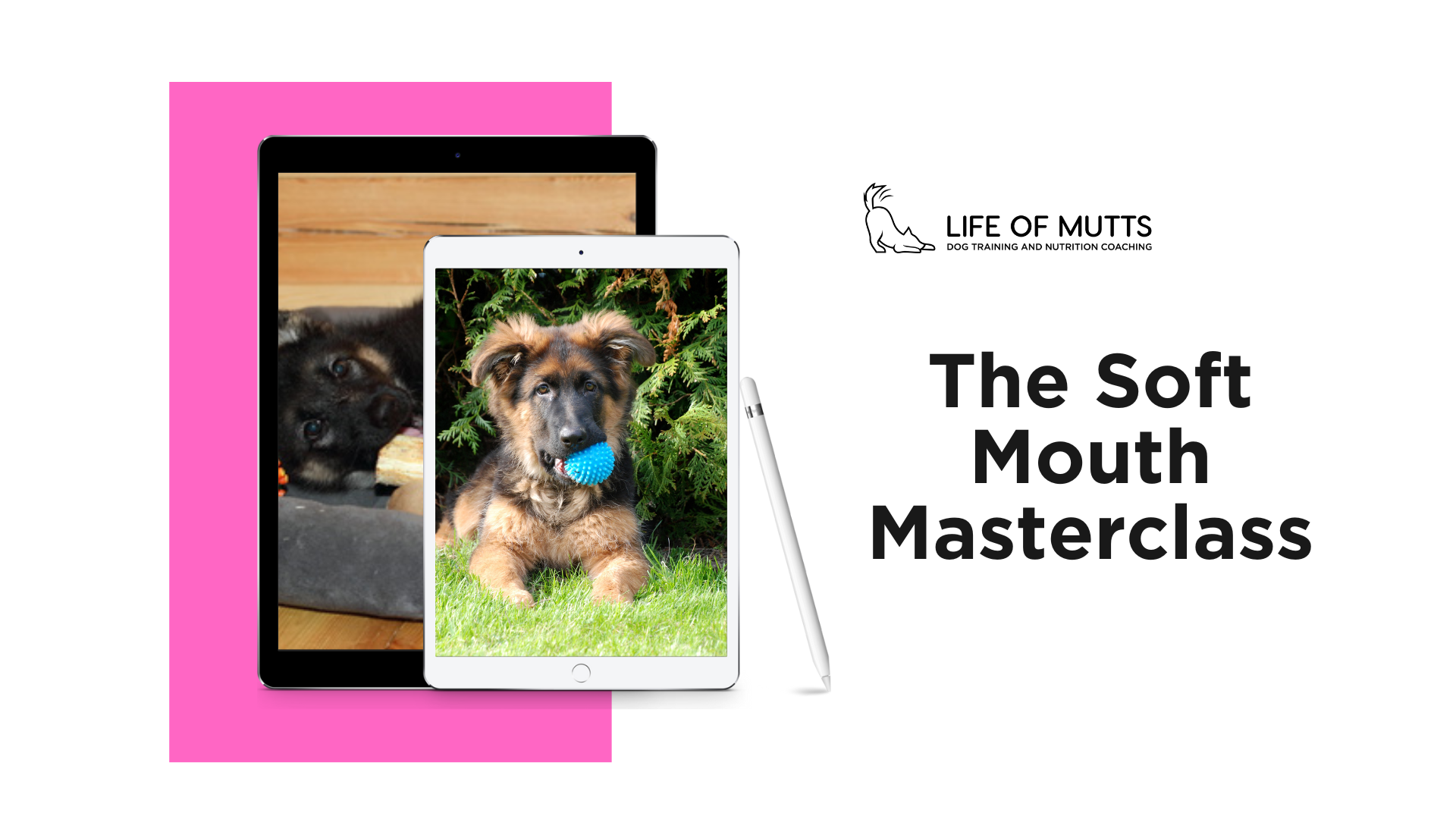 The Soft Mouth Masterclass for German Shepherd Puppies