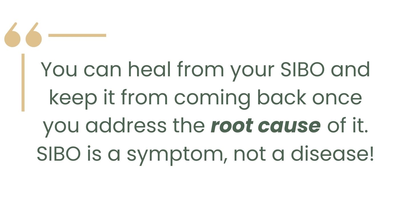 live sibo free in 8 weeks and heal your digestive system naturally