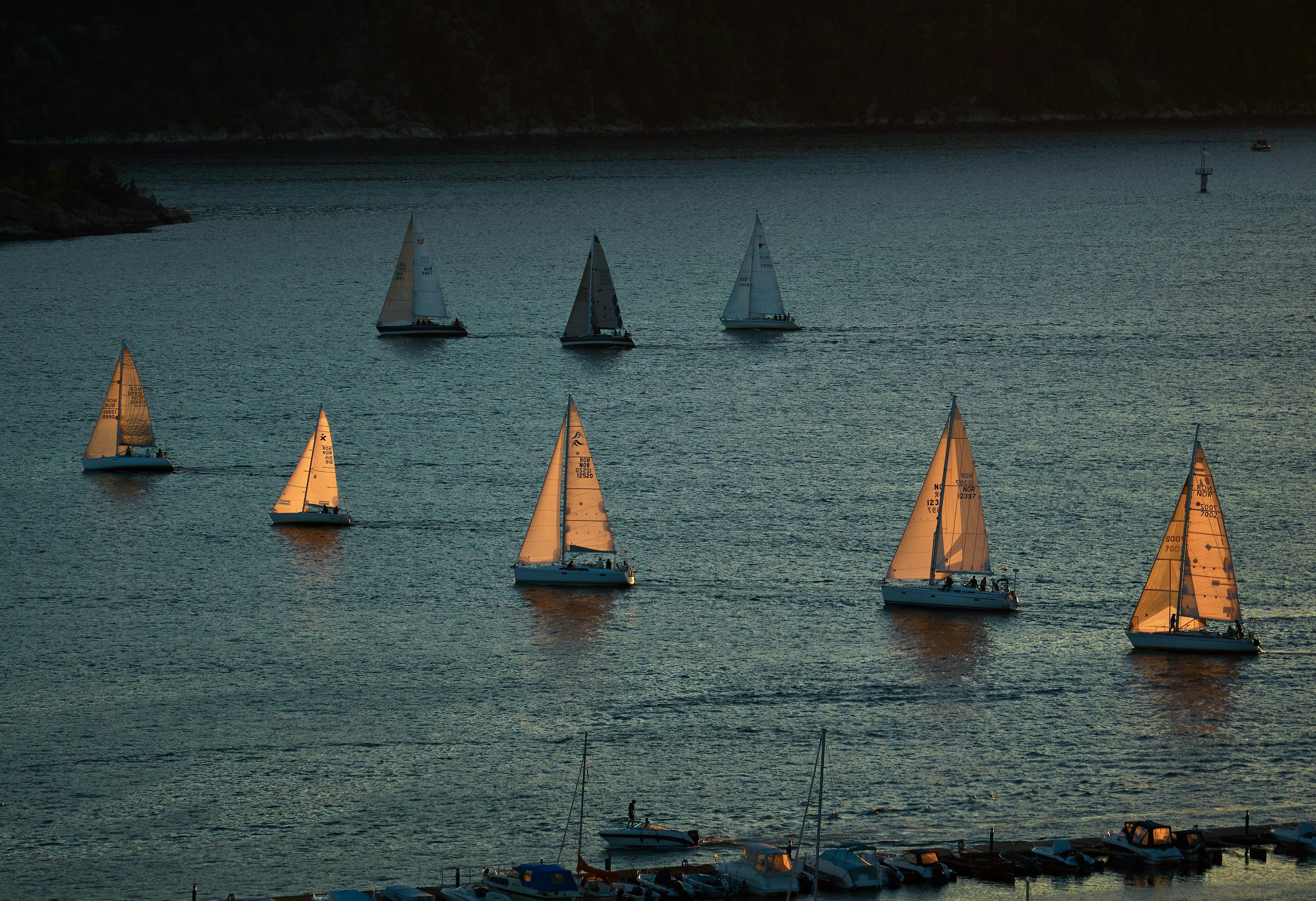 Sailboat regatta