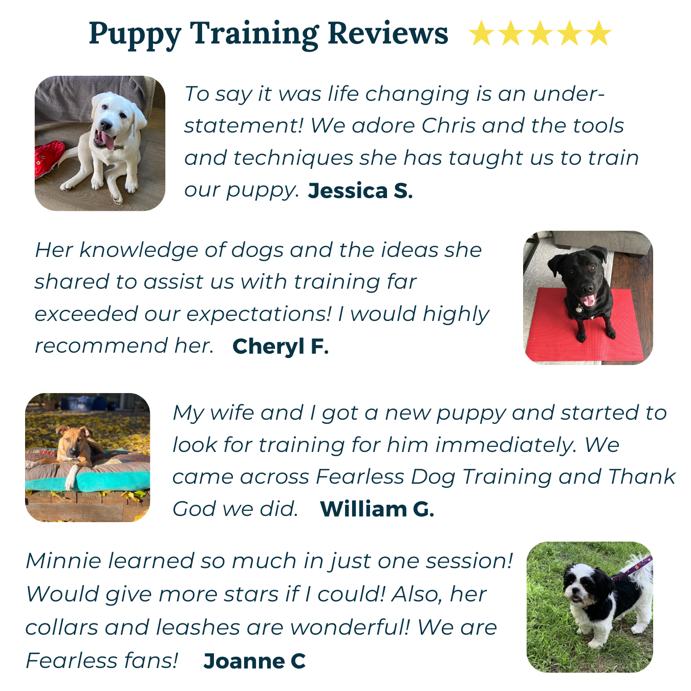 puppy training reviews from an online puppy training course from fearless pet