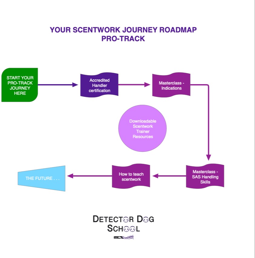 scentwork roadmap