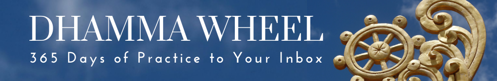 Dhamma Wheel 365 days of practice to your inbox