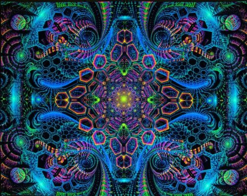 Transformative Psychedelics for Beginners