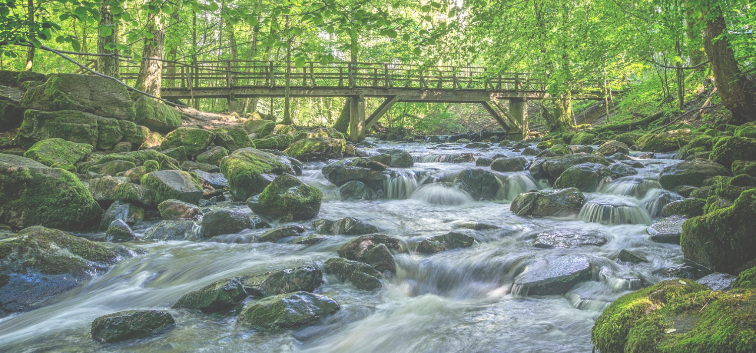 Fording The Stream