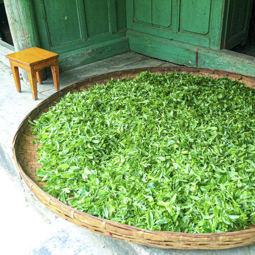 pu er tea