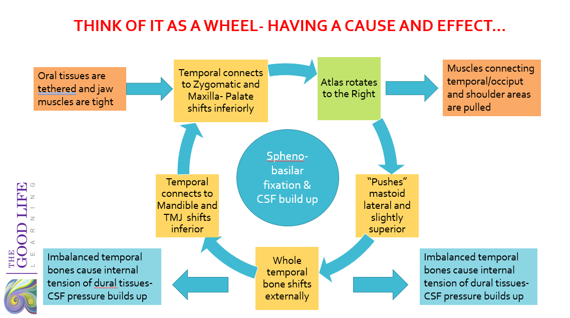 wheeldiagram