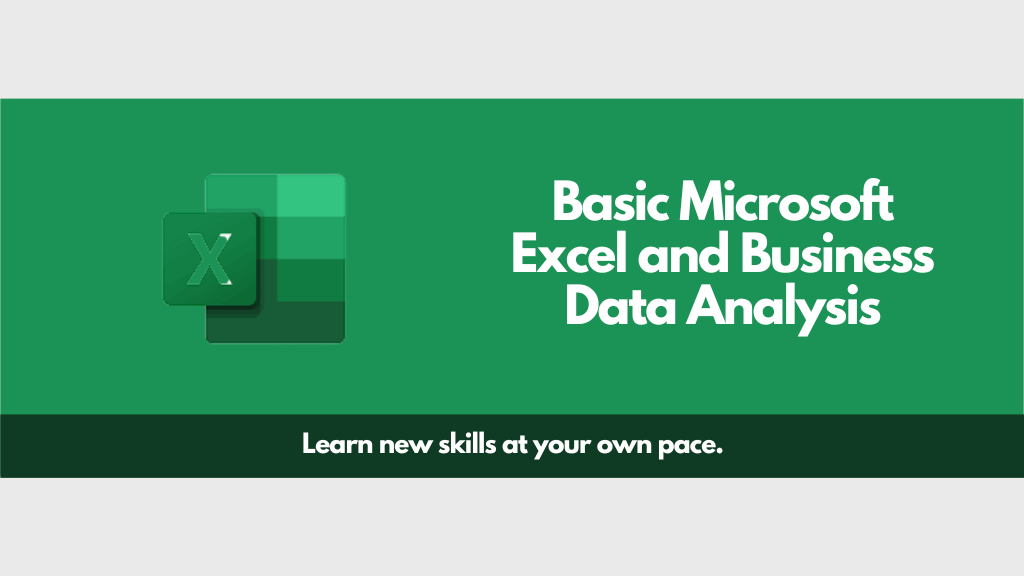 Basic Microsoft Excel and Business Data Analysis