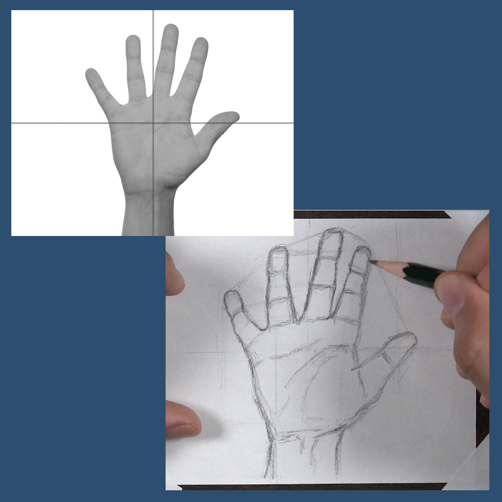 contour sketch of open hand using reference photo with guidelines