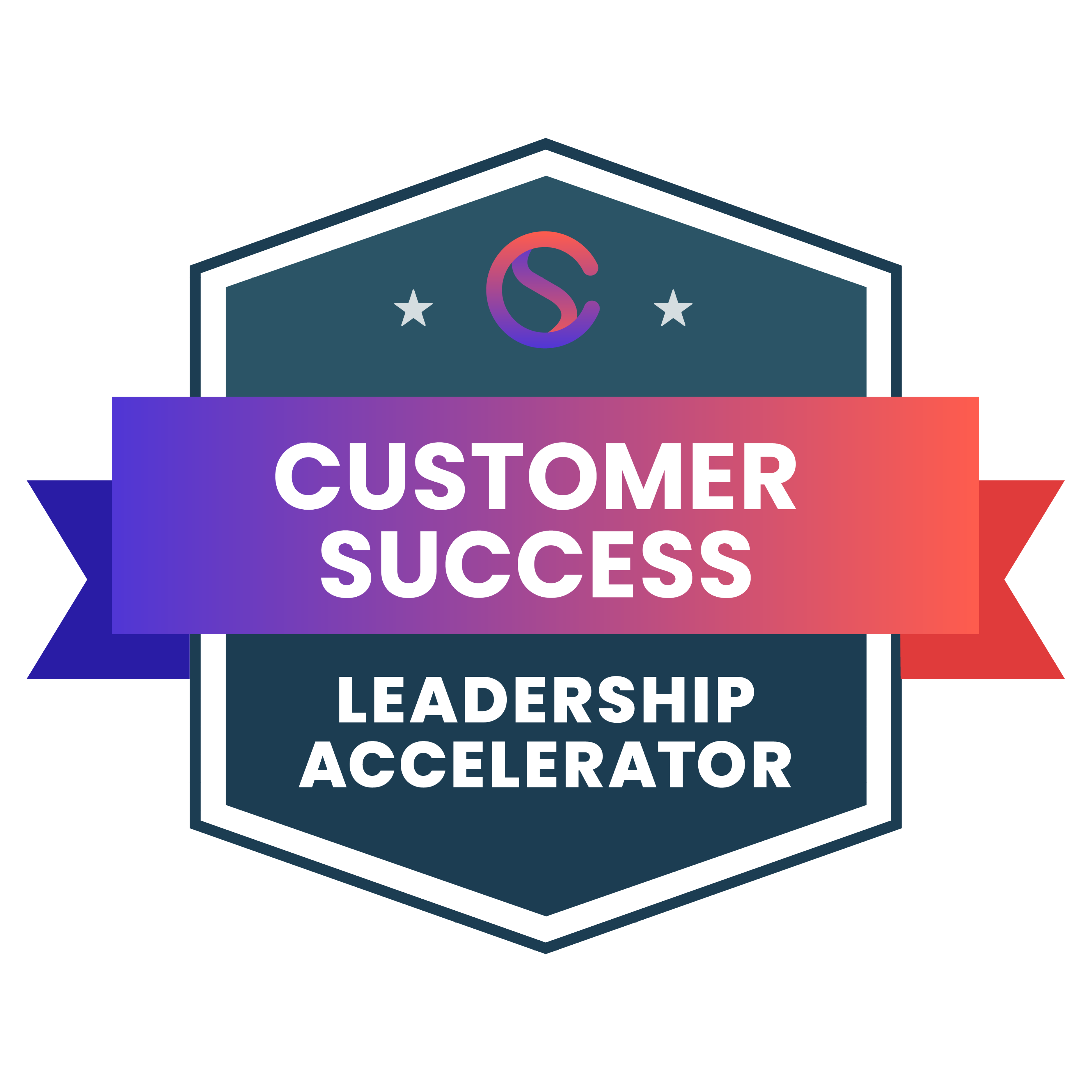 Customer Success Leadership Accelerator