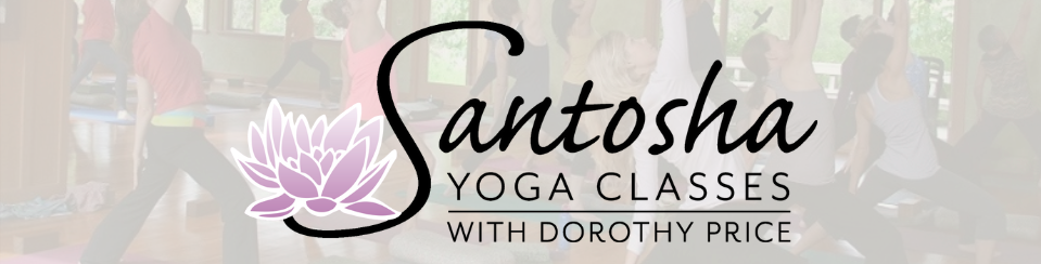 Classes — Wellness With Santosha